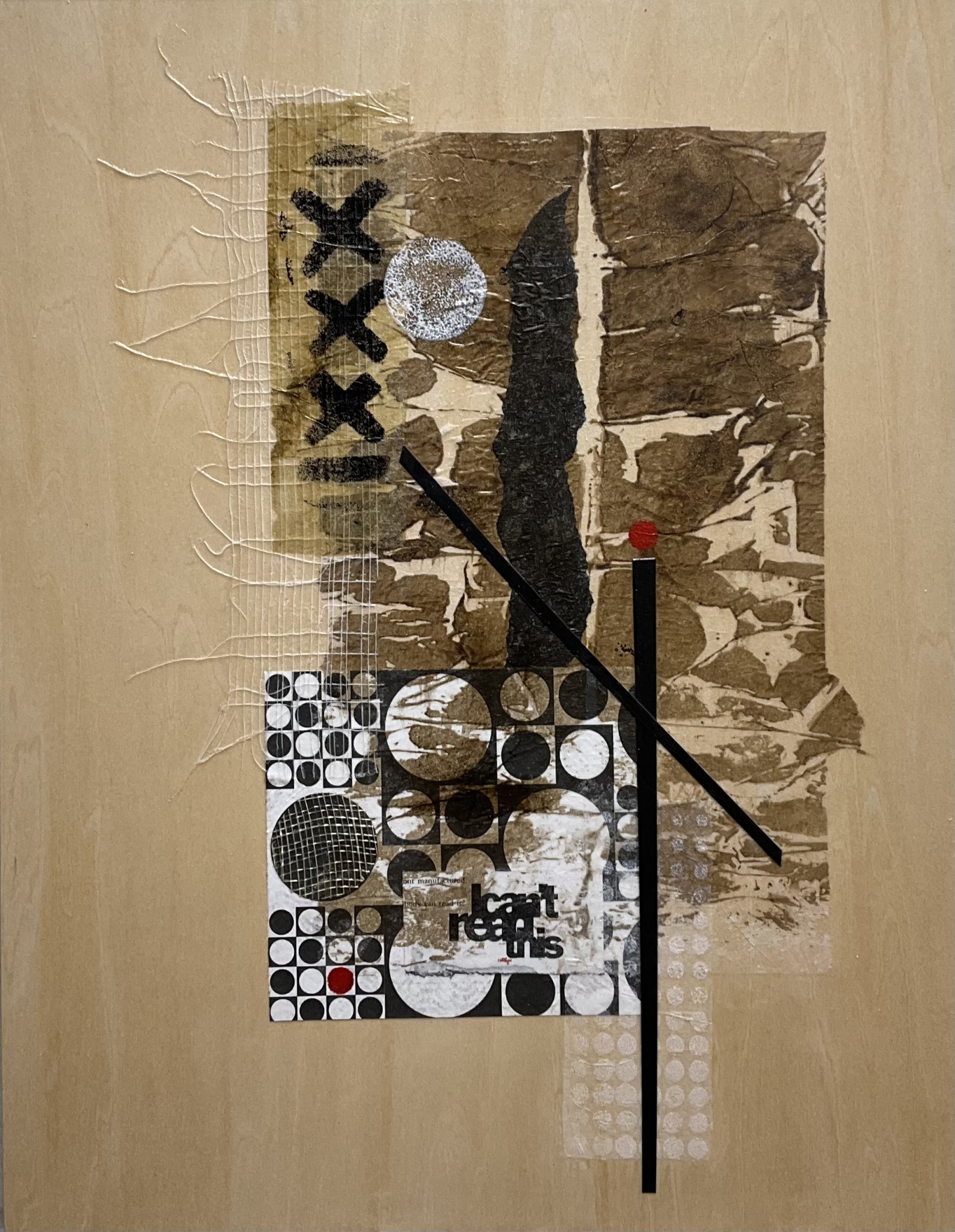 Illegible by Carol Dickerson